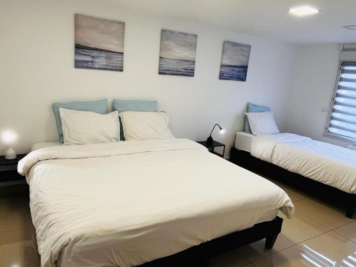 100M2 2 Chambres 8 Personnes - Grand Parking Et Terrasse Privee - Proche Cdg-Parc Expositions-Paris-Asterix-Disney Вилепинт Екстериор снимка