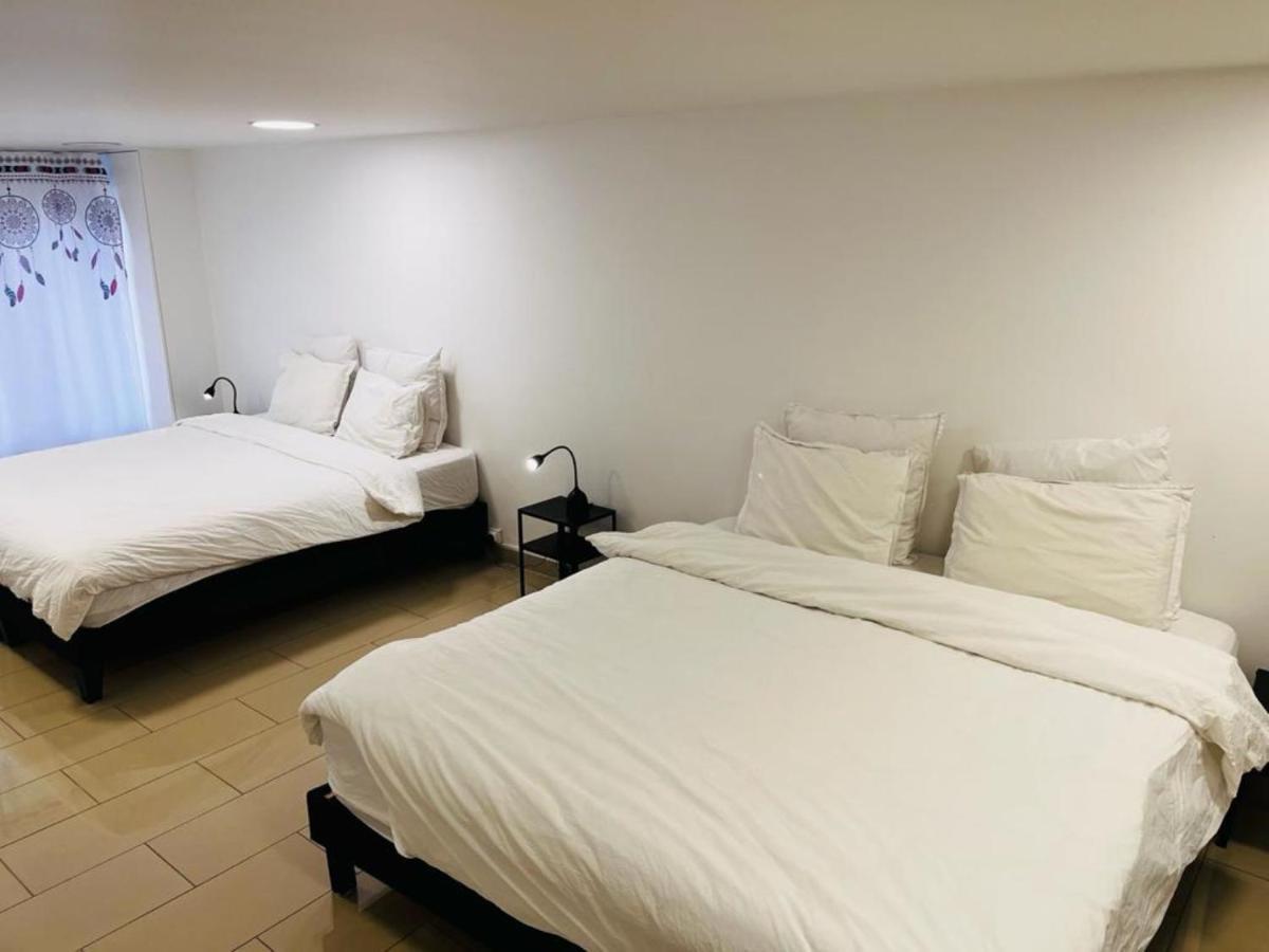 100M2 2 Chambres 8 Personnes - Grand Parking Et Terrasse Privee - Proche Cdg-Parc Expositions-Paris-Asterix-Disney Вилепинт Екстериор снимка
